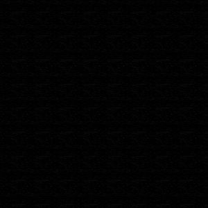 Meet your Posher, Rodrigo